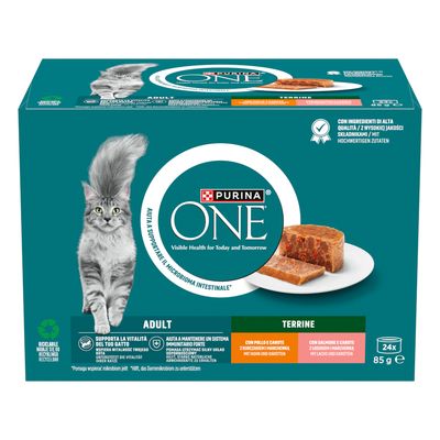 Purina ONE ADULT, 85 g, con manzo e carote. Immagine di un gatto grigio e piatto con bocconcini in salsa.