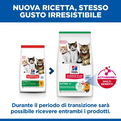 Hill's Science Plan Kitten Pollo - Set %: 2 x 7 kg
