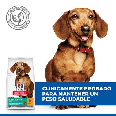 Hill's Science Plan Perfect Weight Adult 1+ Small & Mini con pollo