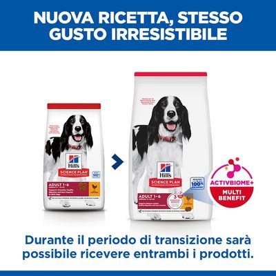 Hill's Science Plan Adult 1-6 Medium con Pollo