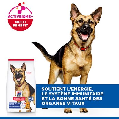 Hill's Science Plan Mature Adult 6+ Large poulet