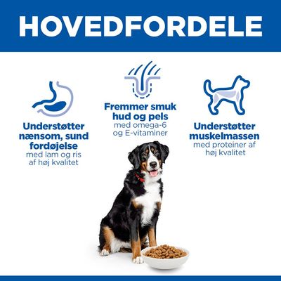 Hill's Science Plan Adult 1-5 Large Lam & Ris