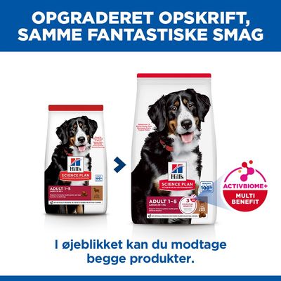 Hill's Science Plan Adult 1-5 Large Lam & Ris