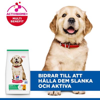 Hill's Science Plan Puppy <1 Large Chicken - 16 kg