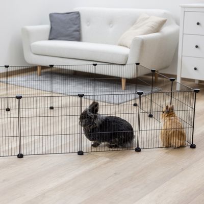 Kovový výbeh s mrežovými stenami, dve králiky vo výbehu. Vhodný do interiéru, umiestnený na drevenej podlahe pred pohovkou a komodou.