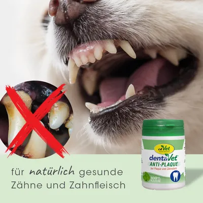 cdVet Anti-Plaque für natürlich gesunde Zähne und Zahnfleisch, bei Plaque und Zahnstein, 100% Natur.