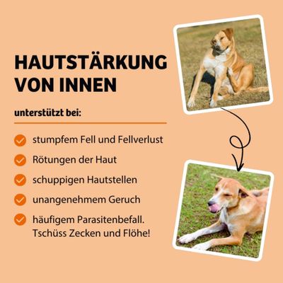 Hautstärkung von innen, unterstützt bei stumpfem Fell, Fellverlust, Rötungen der Haut, schuppigen Hautstellen, unangenehmem Geruch und häufigem Parasitenbefall. Tschüss Zecken und Flöhe!