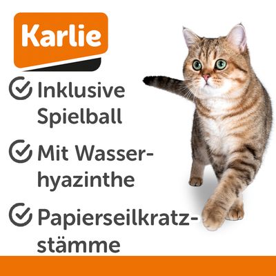 Karlie. Inklusive Spielball, mit Wasserhyazinthe, Papierseilkratzstämme.