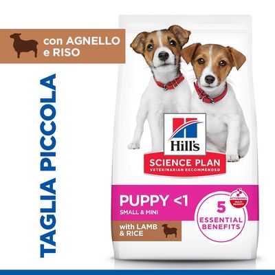 Hill's Science Plan Puppy Small & Mini Agnello & Riso