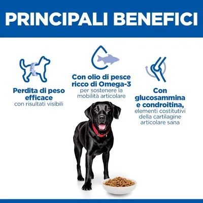 Hill's Science Plan Perfect Weight & Active Mobility Adult 1+ Large Pollo - 12 kg