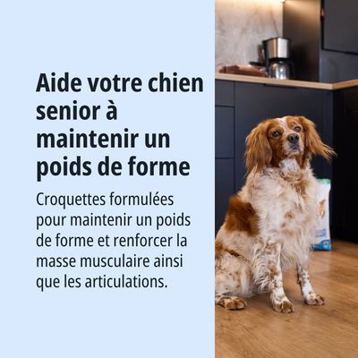 Virbac Veterinary HPM Senior Dog Neutered Large & Medium - lot économique : 2 x 12 kg