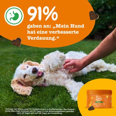Zesty Paws Probiotic Chews Kürbis