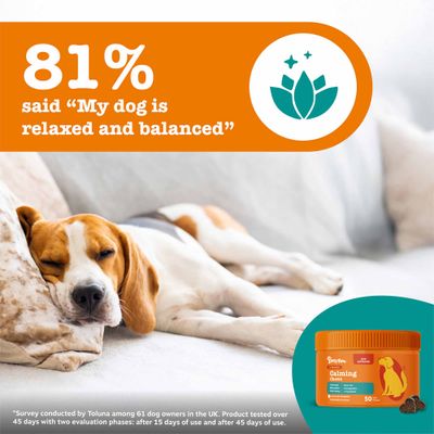Zesty Paws Calming Chews - Turkey - dog supplements - Saver Pack: 2 x 50 Chews