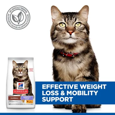 Hill's Science Plan Hairball & Perfect Coat Adult Chicken - 3kg