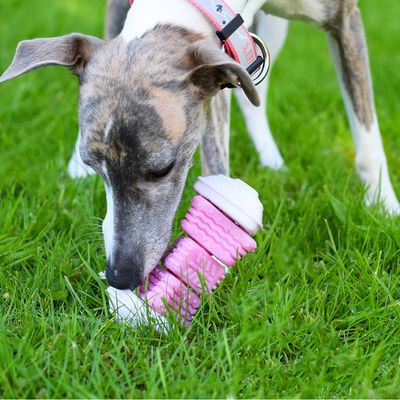 Bobby Jouet pour chien Onigiri – vert : L 14,5 x l 6,5 x H 6,5 cm