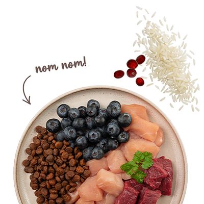 Teller mit Trockenfutter, Blaubeeren, rohem Fleisch, Reis und Cranberries. Text: nom nom!