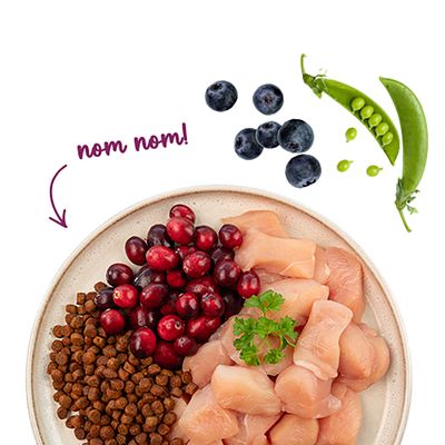 Teller mit Trockenfutter, rohem Hühnerfleisch, Cranberrys, Blaubeeren und Erbsenschote. Text: nom nom!