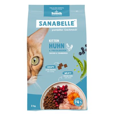 Sanabelle Kitten