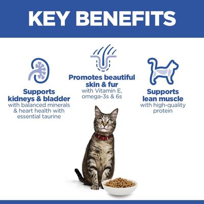 Hill's Science Plan Adult 1-6 Laks