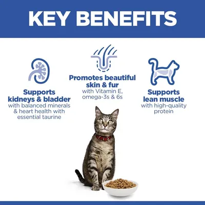 Hill's Science Plan Adult 1-6 Laks - 10 kg