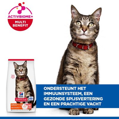 Hill's Science Plan Adult 1-6 Zalm - 10 kg