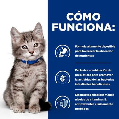 Hill's Prescription Diet i/d Digestive Care Kitten pollo en salsa - 12 x 85 g