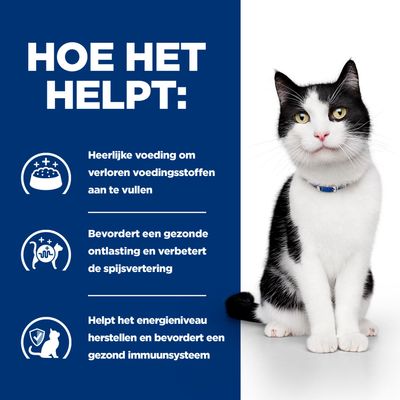 Productvoordelen: Voeding vult verloren voedingsstoffen aan, bevordert een gezonde spijsvertering en stoelgang, ondersteunt het energieniveau en het immuunsysteem. Kat naast infographic.