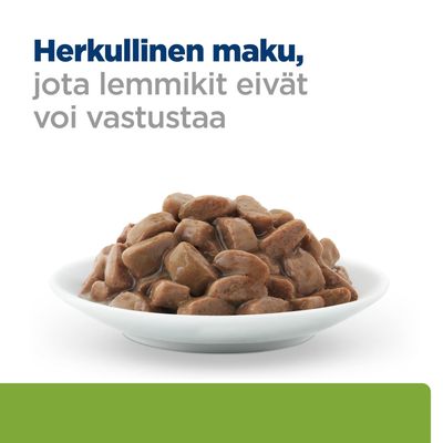 Kulhossa ruskeita lihapaloja kastikkeessa, päällä teksti: Herkullinen maku, jota lemmikit eivät voi vastustaa.