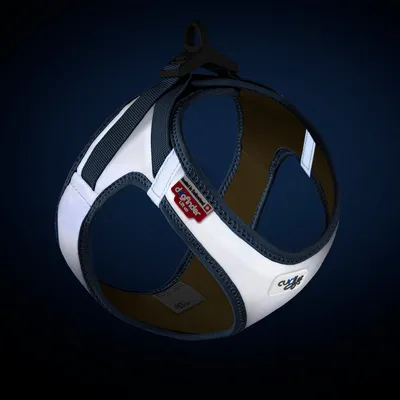 Arnés Curli Glow Clasp Vest, gris Arnés Curli Glow Clasp Vest, gris