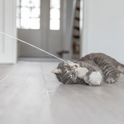 Trixie udice s míčky a šantou kočičí - D 50 cm