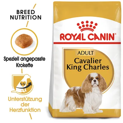 Royal Canin Adult Cavalier King Charles. Posebno prilagojeni briketi. Podpora delovanju srca. Breed Nutrition. Royal Canin Adult Cavalier King Charles. Posebno prilagojeni briketi. Podpora delovanju srca. Breed Nutrition.