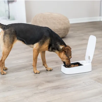 Trixie Distributeur automatique de nourriture TX1 pour chien et chat - 300 ml