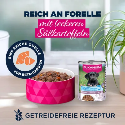 Eukanuba Puppy Reich an Forelle mit Süßkartoffeln Eukanuba Puppy Reich an Forelle mit Süßkartoffeln