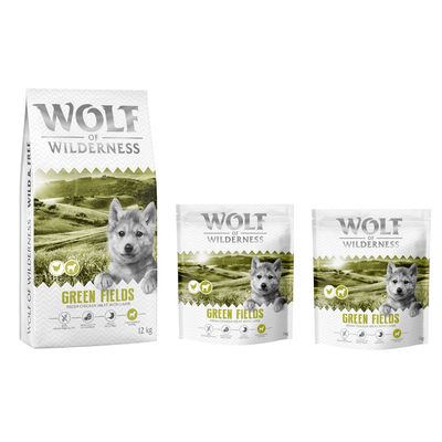Wolf of Wilderness Logo. Hund springt über moosbedeckte Felsen in einem Wald.