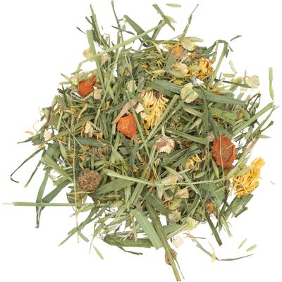 JR Farm Seau jardin potager