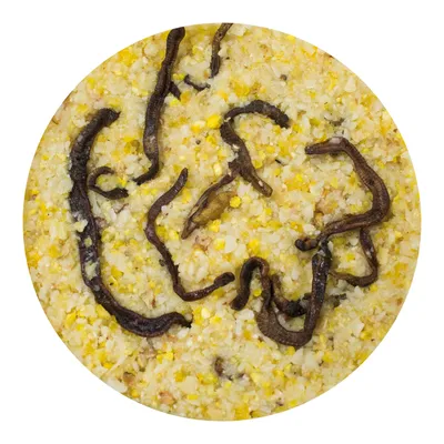JR Farm Peanut Bar sans coques pour oiseaux sauvages 350 g - beurre de cacahuètes, vers de terre