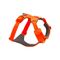 Ruffwear Front Range Hondenharnas, Blaze Orange Maat S: 56 - 69 cm borstomtrek