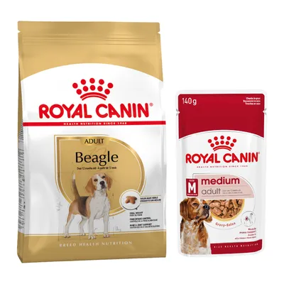 Royal Canin Breed 1,5 à 12 kg pour chien + aliment humide : 15 % de remise ! - Beagle Adult (12 kg) + sachets Medium Adult en sauce (10 x 140 g) Royal Canin Breed 1,5 à 12 kg pour chien + aliment humide : 15 % de remise ! - Beagle Adult (12 kg) + sachets Medium Adult en sauce (10 x 140 g)
