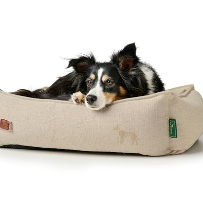 HUNTER Recycling hundesofa Belluno