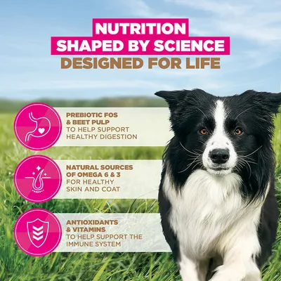 Eukanuba Grain-Free Adult Small & Medium Breed Chicken - dog dry food - Economy Pack: 2 x 12kg