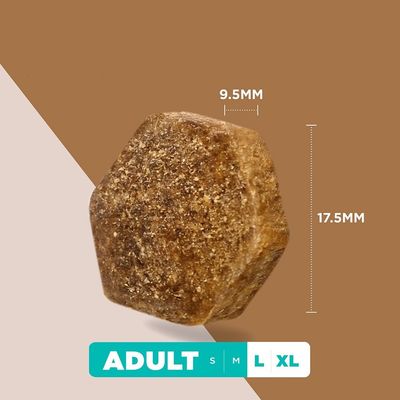 Eukanuba Grain Free Adult Large Breed с агнешко