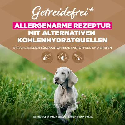 Eukanuba Grain Free Puppy Large & Giant Breed Seefisch - 12 kg