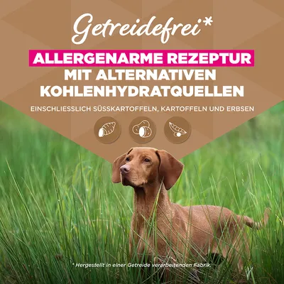 Eukanuba Grain Free Senior Large & Giant mit Seefisch - 12 kg