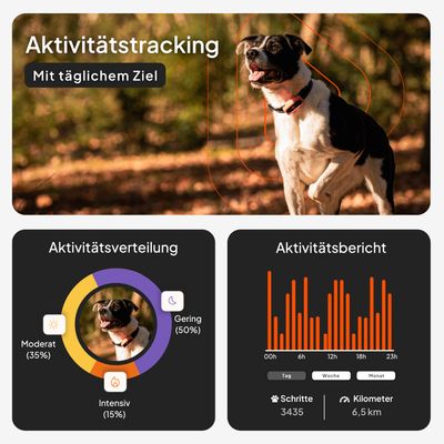 Weenect Haustier GPS Tracker XS für Hunde - ohne Halsband