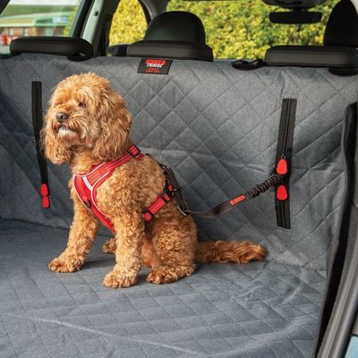 KONG Travel Cargo Swivel Tether