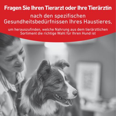 Fragen Sie Ihren Tierarzt oder Ihre Tierärztin nach den spezifischen Gesundheitsbedürfnissen Ihres Haustieres, um die richtige Nahrung für Ihren Hund zu finden.