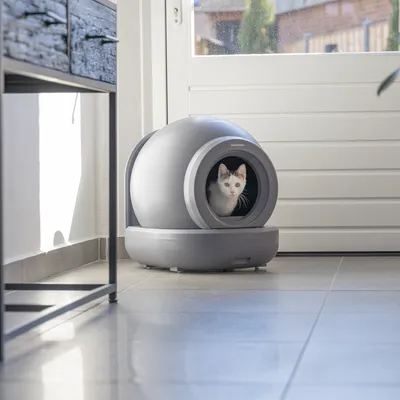 beeztees Automatische Kattenbak Moeza - grijs