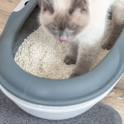 Trixie Tofu-klumpströ