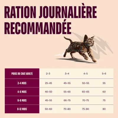 Carnilove Actif Kitten Saumon et Dinde - lot économique : 2 x 6 kg