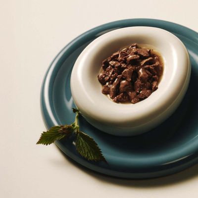 Schale mit Nassfutterstücken in Sauce auf einem blauen Teller, daneben ein grünes Blatt. Produktpräsentation für Tiernahrung.